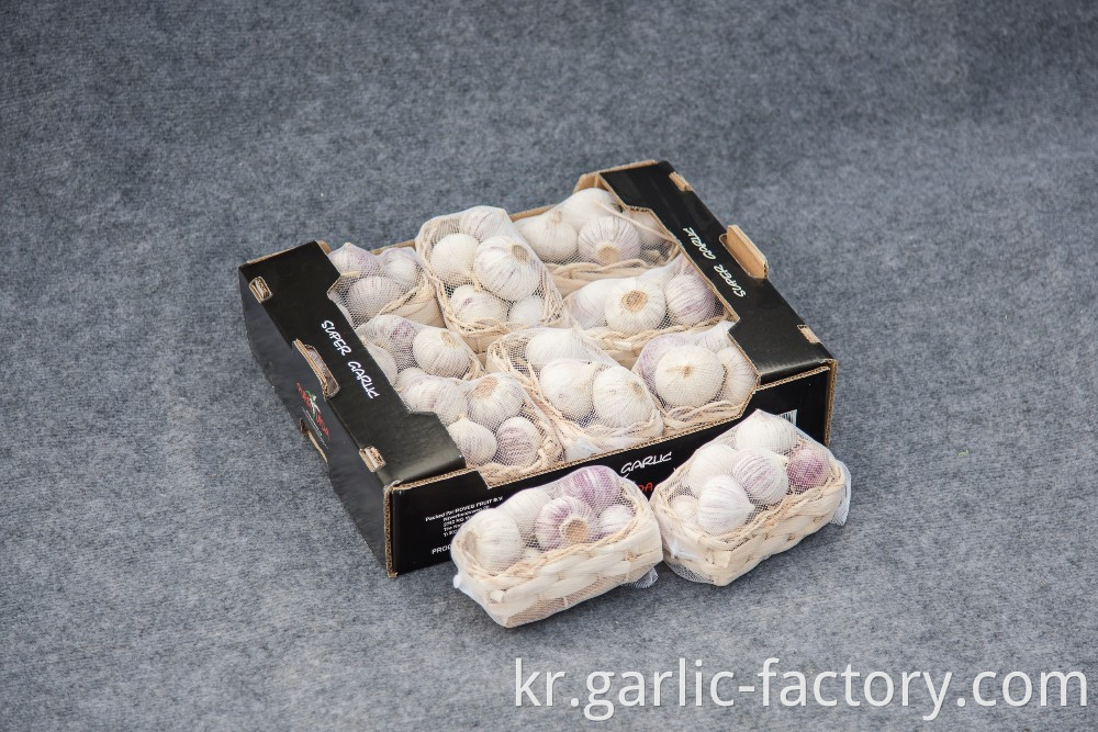 High quality fresh single clove garlic